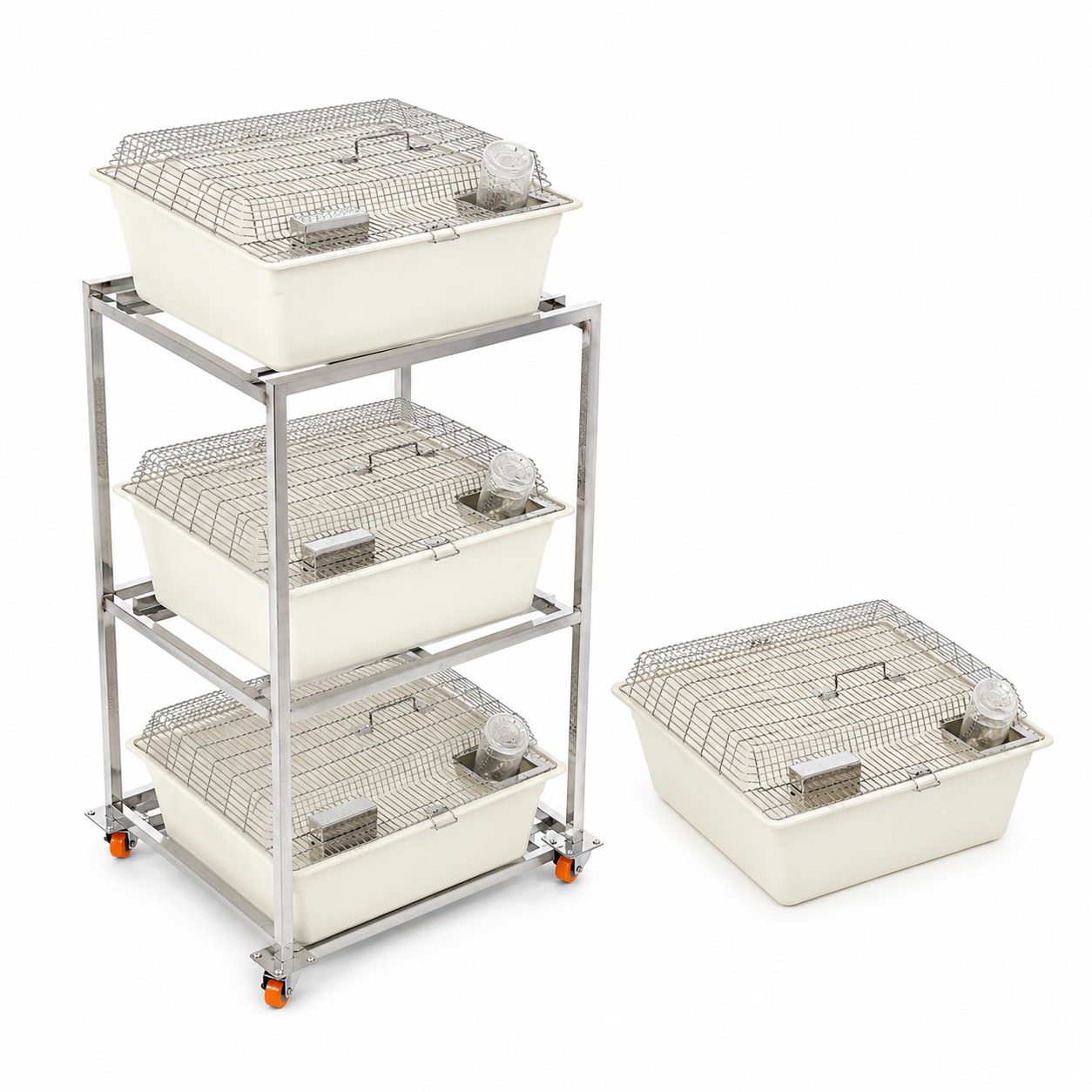 Guinea Pig Range